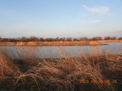 DSCN2919.JPG