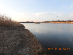 DSCN2926.JPG
