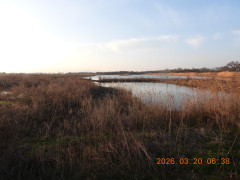 DSCN2930.JPG