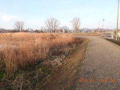 DSCN2931.JPG