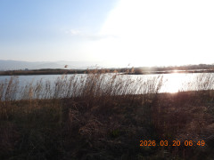DSCN2940.JPG