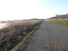 DSCN2941.JPG