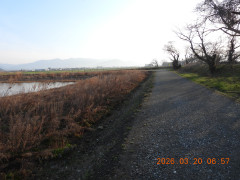 DSCN2946.JPG