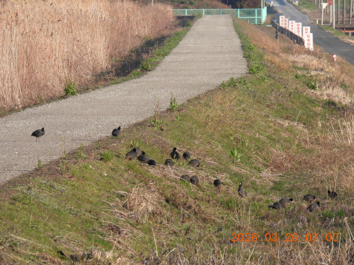 DSCN2948.JPG