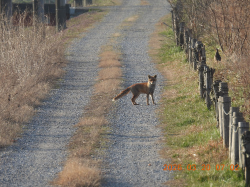 DSCN2950.JPG
