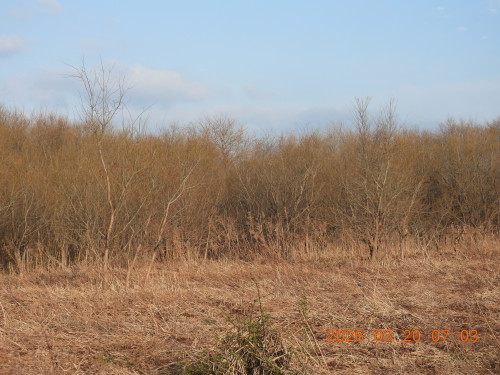 DSCN2952.JPG