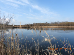 DSCN2958.JPG