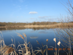 DSCN2959.JPG