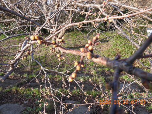 DSCN2965.JPG