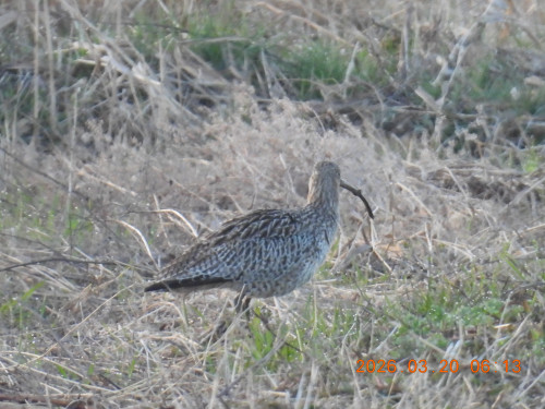DSCN2909.JPG