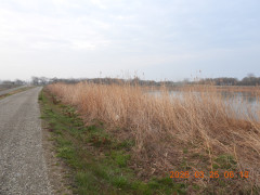 DSCN2987.JPG