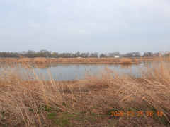 DSCN2988.JPG