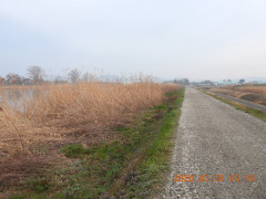 DSCN2990.JPG