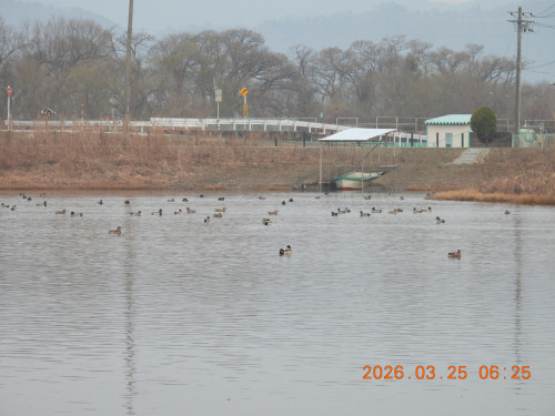 DSCN2999.JPG