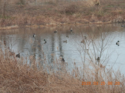 DSCN3001.JPG