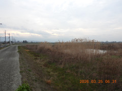 DSCN3003.JPG