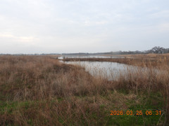DSCN3004.JPG