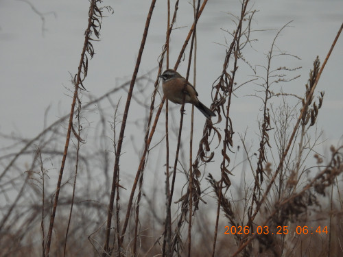 DSCN3018.JPG