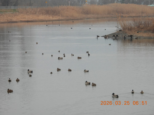 DSCN3026.JPG