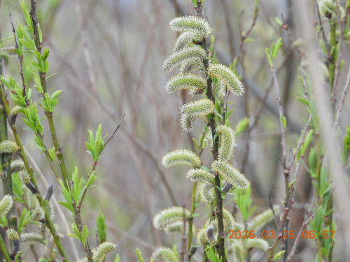 DSCN3028.JPG