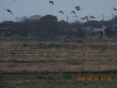 DSCN3048.JPG