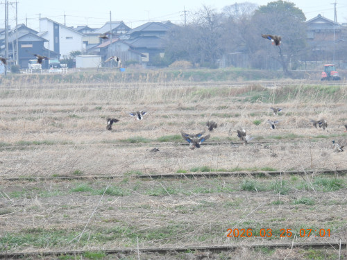 DSCN3055.JPG
