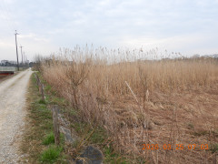 DSCN3065.JPG