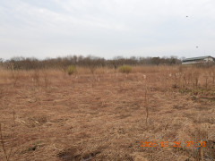 DSCN3066.JPG