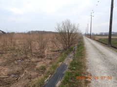 DSCN3067.JPG