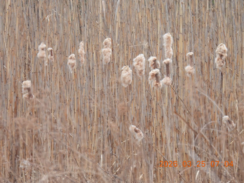 DSCN3068.JPG