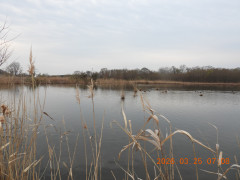 DSCN3071.JPG