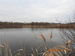 DSCN3072.JPG