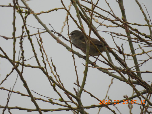 DSCN3077.JPG