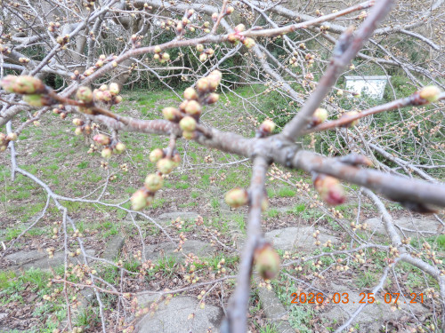 DSCN3093.JPG