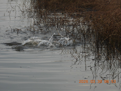 DSCN3221.JPG