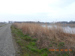 DSCN3189.JPG