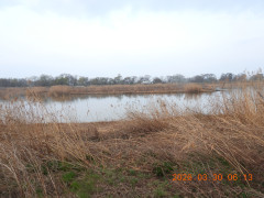 DSCN3190.JPG