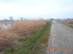 DSCN3191.JPG