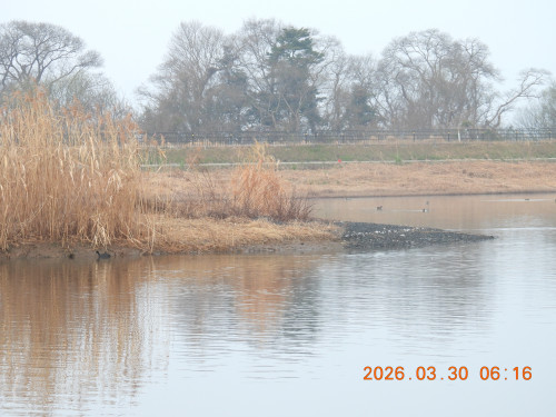 DSCN3194.JPG