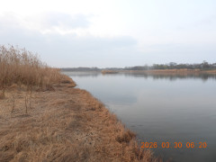 DSCN3195.JPG