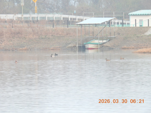 DSCN3199.JPG