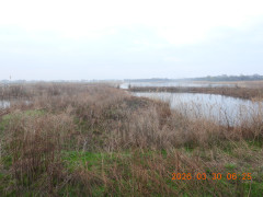 DSCN3201.JPG