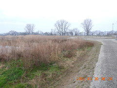 DSCN3202.JPG