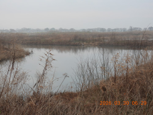 DSCN3203.JPG
