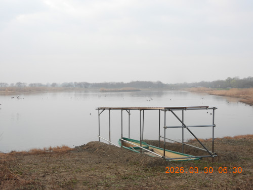 DSCN3204.JPG
