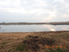 DSCN3206.JPG