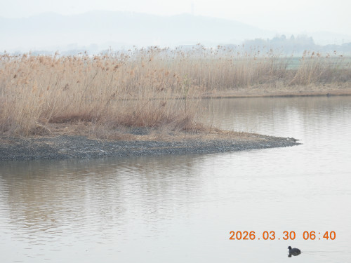 DSCN3209.JPG
