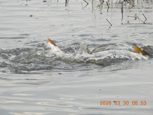 DSCN3222.JPG