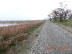 DSCN3227.JPG