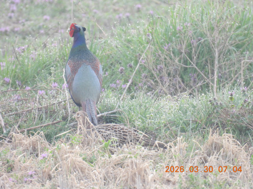 DSCN3236.JPG